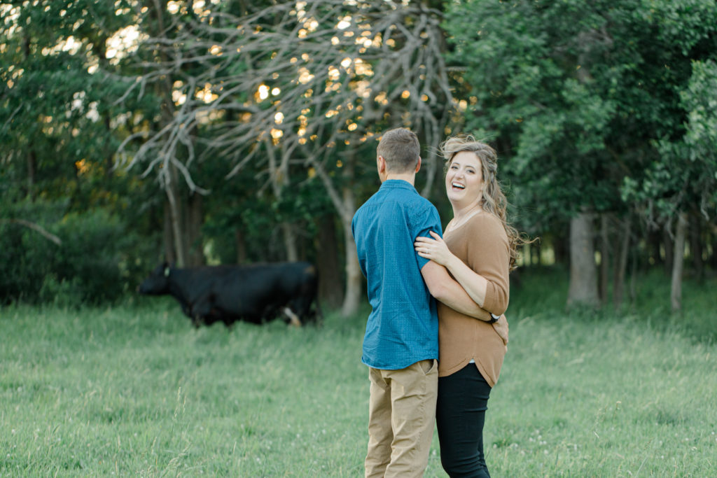 Cow Photobomb - Cows during Engagement Session - Poses during Engagement Session  Sunset - Natural Posing for Photo Session - Couples Photo Session Fun - Fun on the Farm - Farm Engagement Session - Blue and Brown Engagement Session Inspiration - Natural Engagement Session Posing - Ideas for what to wear for Engagement Photography, Modern Engagement Session Inspiration Wardrobe Ideas. Unsure of what to wear for your engagement photos, we've got you! Romantic brown with black leggings for Summer Engagement in Almonte. Grey Loft Studio is Ottawa's Wedding and Engagement Photographer for Real couples, showcasing photos that are modern, bright, and fun.